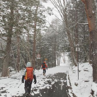 すぐに積雪出てきた