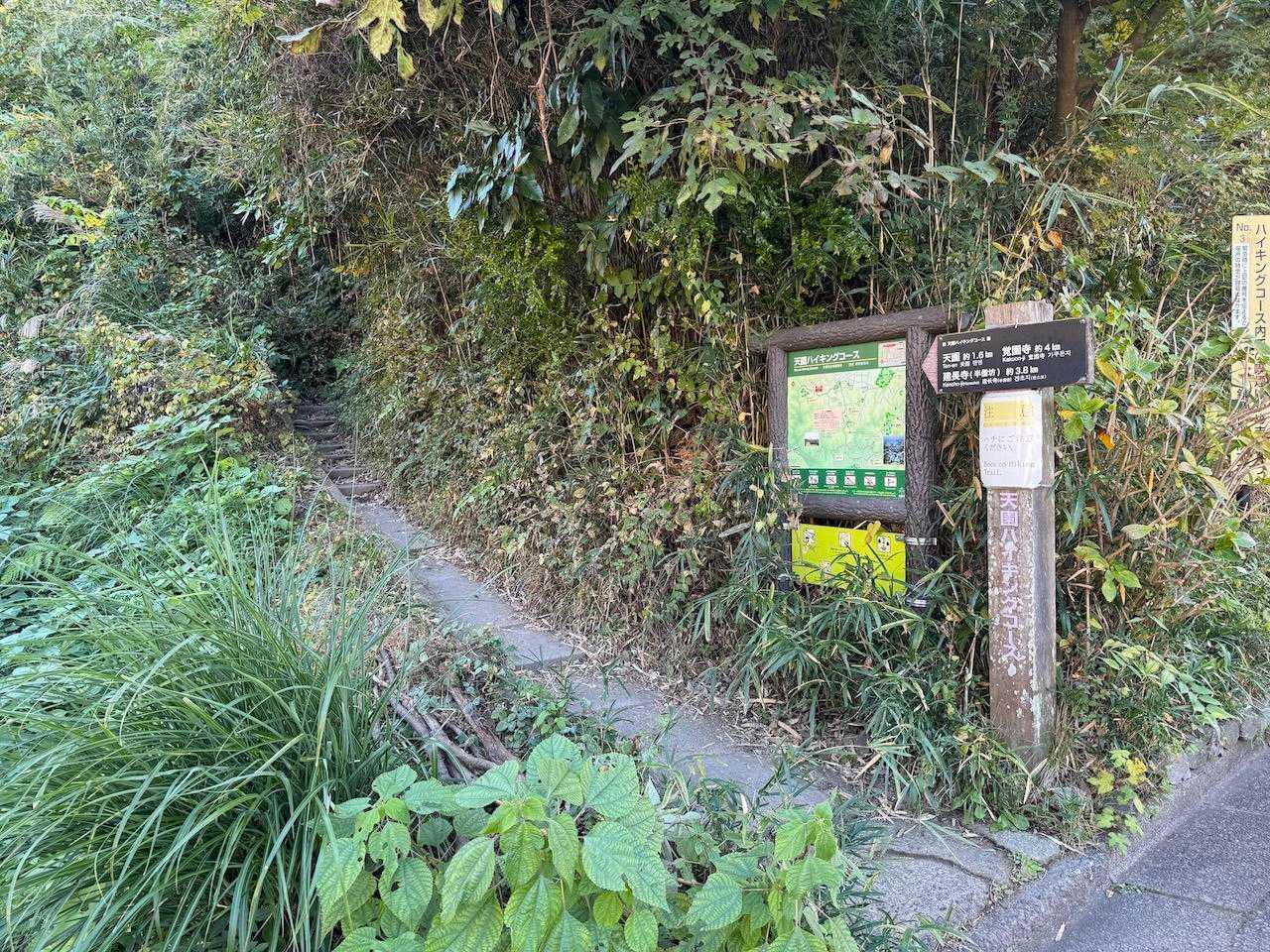 【フラット登山】ビートルズトレイル  鎌倉と横浜をまたぐ不思議な山道の写真