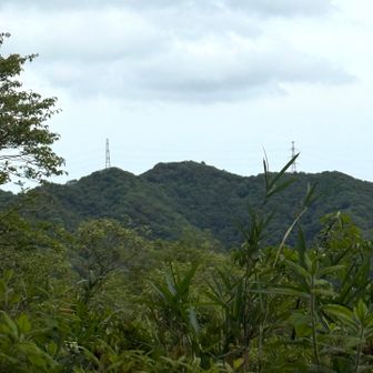 見返り山から大福山を望む（２つの鉄塔の中間