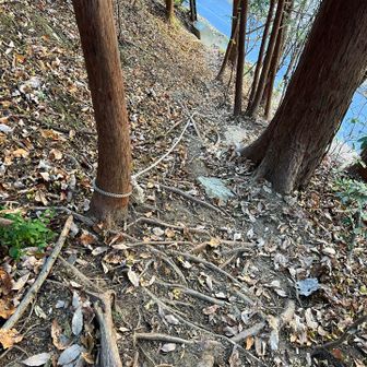 最後のロープ見えた時
嘘でしょ？って声出たw
結構な斜度で頼りないロープ
落ちたらコンクリだし
道路まで出るの怖かった