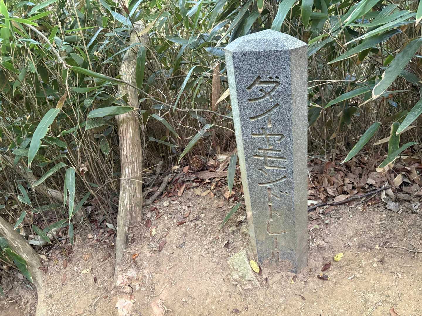 ダイヤモンドトレイル💎のコース。