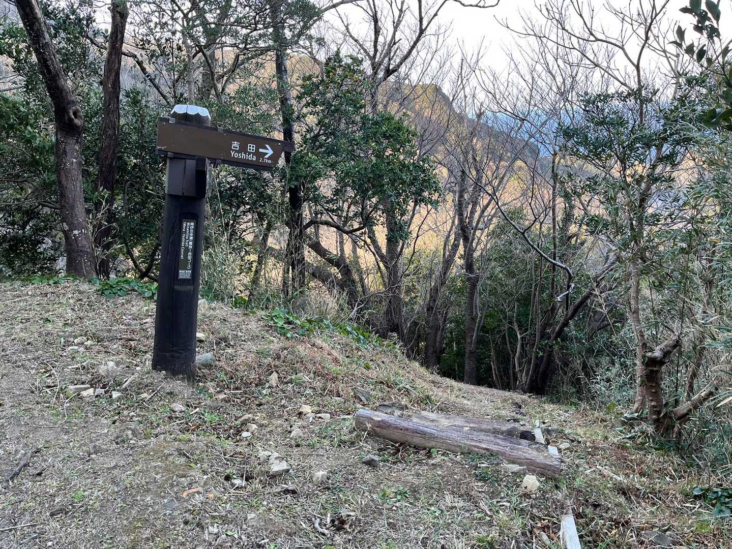 林道から歩道へ。