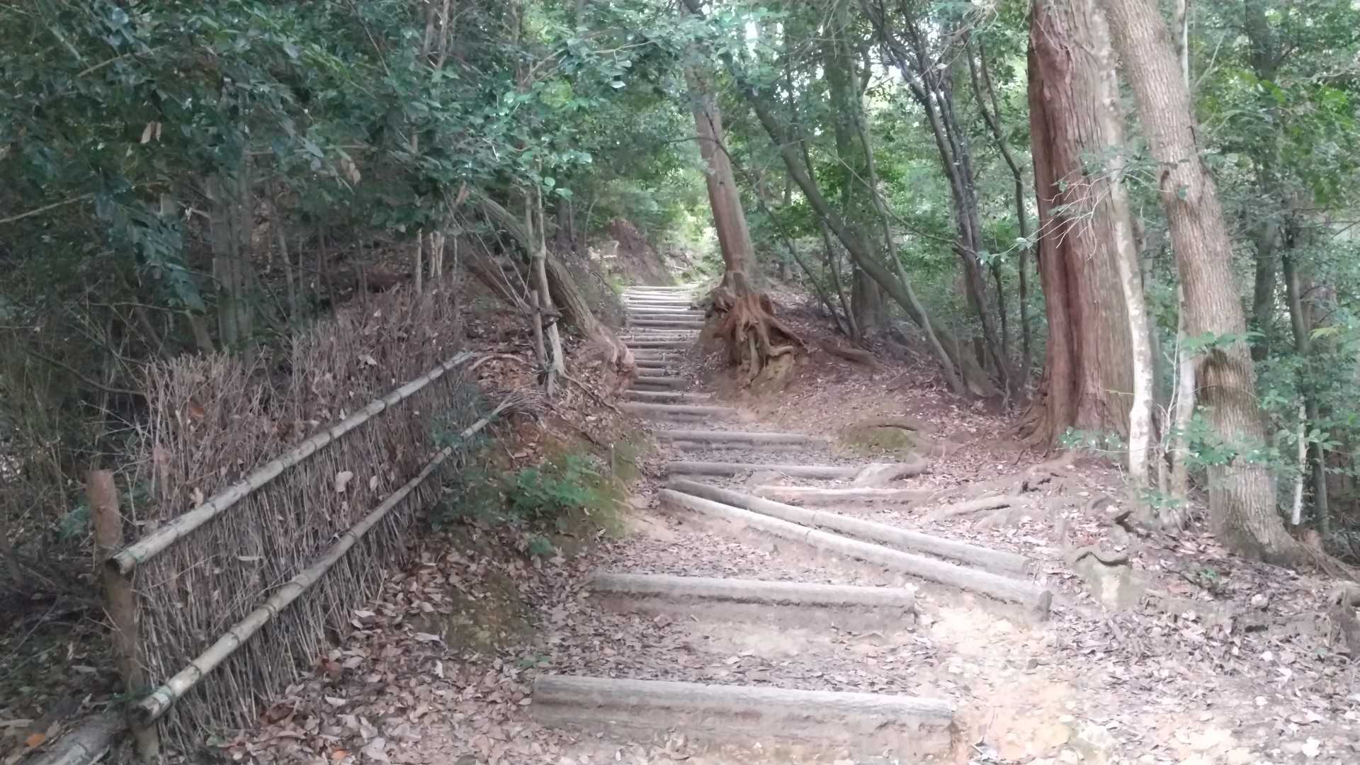 階段多いな～。子供にどんどん登らず、ゆっくり横や斜めに上がると良いよと教える。