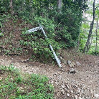 どちらに進んでも石尾根縦走路に合流しますが、直進は鷹ノ巣山方面。左へ進みます。