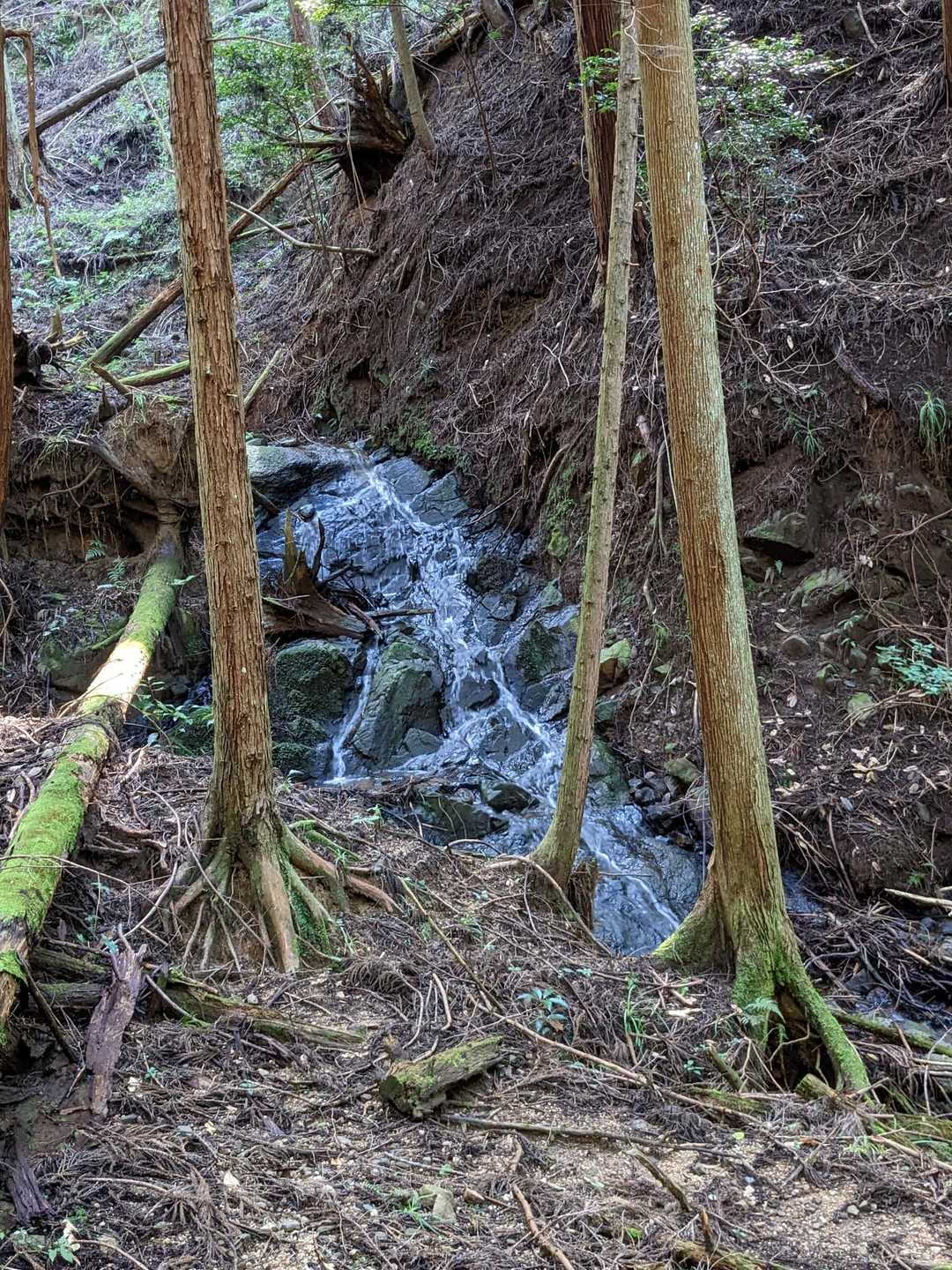 岩肌を流れる清水