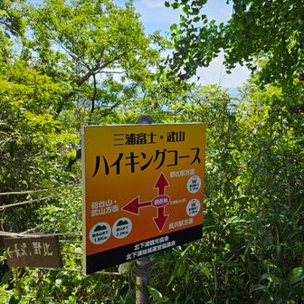 痛みが出ないうちに、来た道を戻ります