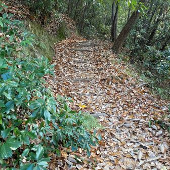 歩いていたら消化してきました😊