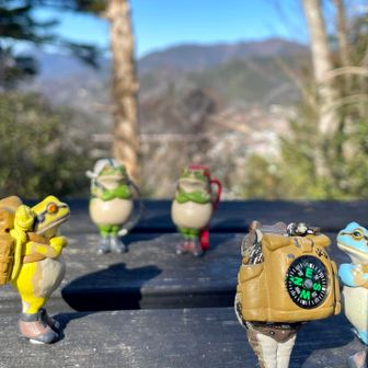 　　　　　　💚カエルさん達💚

　　　　大集合だよ🐸🐸🐸🐸🐸


緑のカエルﾁｬﾝ達はスンスンさんのケロ🐸


人生も登山も気をつけて楽しむケロ〜🐸

無事にカエルケロ〜🐸🐸🐸🐸🐸