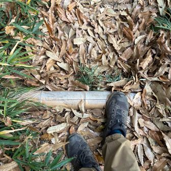 竹の階段
本日はローカットで