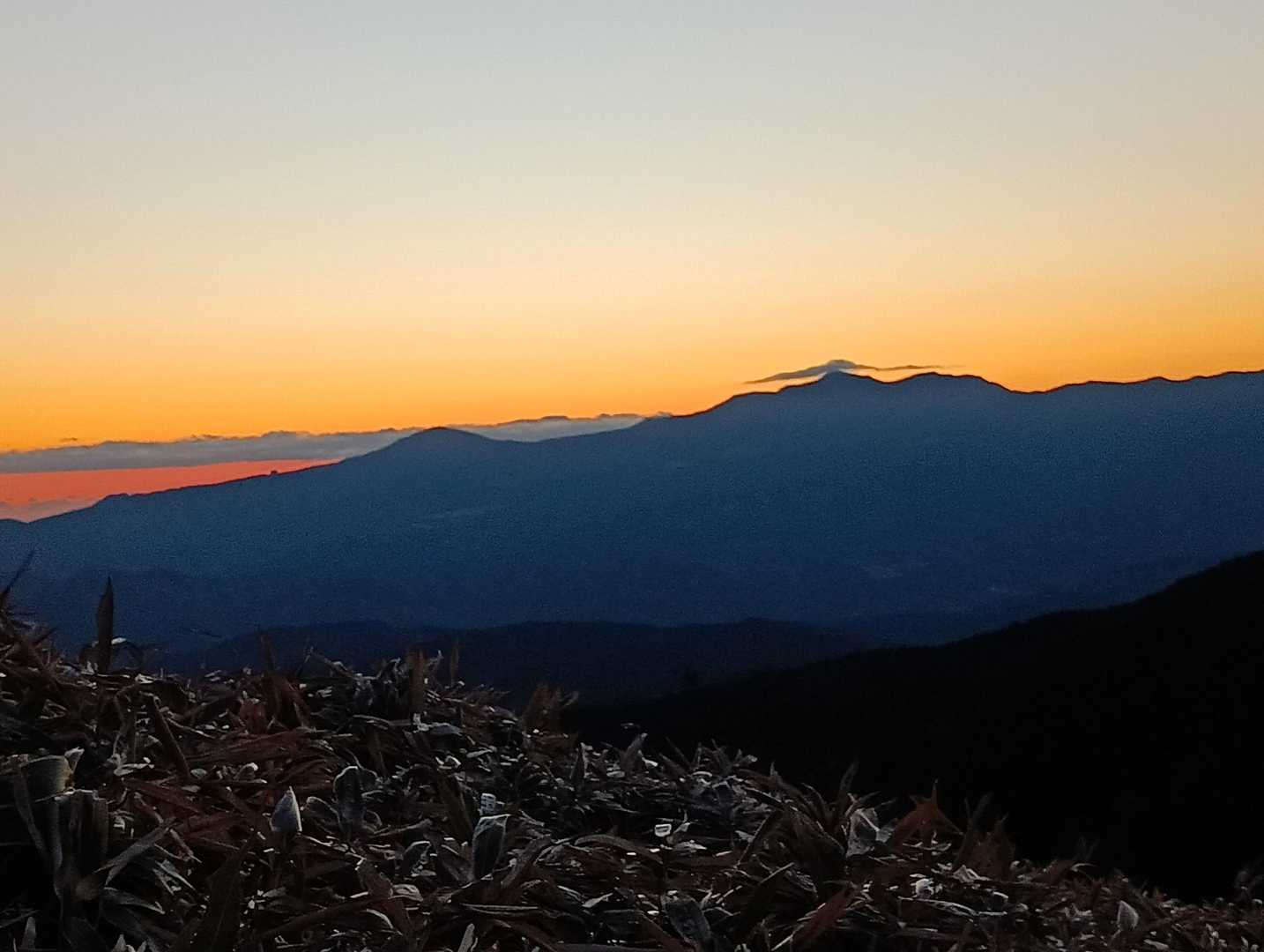 仁科峠-風早峠-魂の山-土肥峠-吉奈峠-棚場山-土肥峠-伽 縦走コースの写真