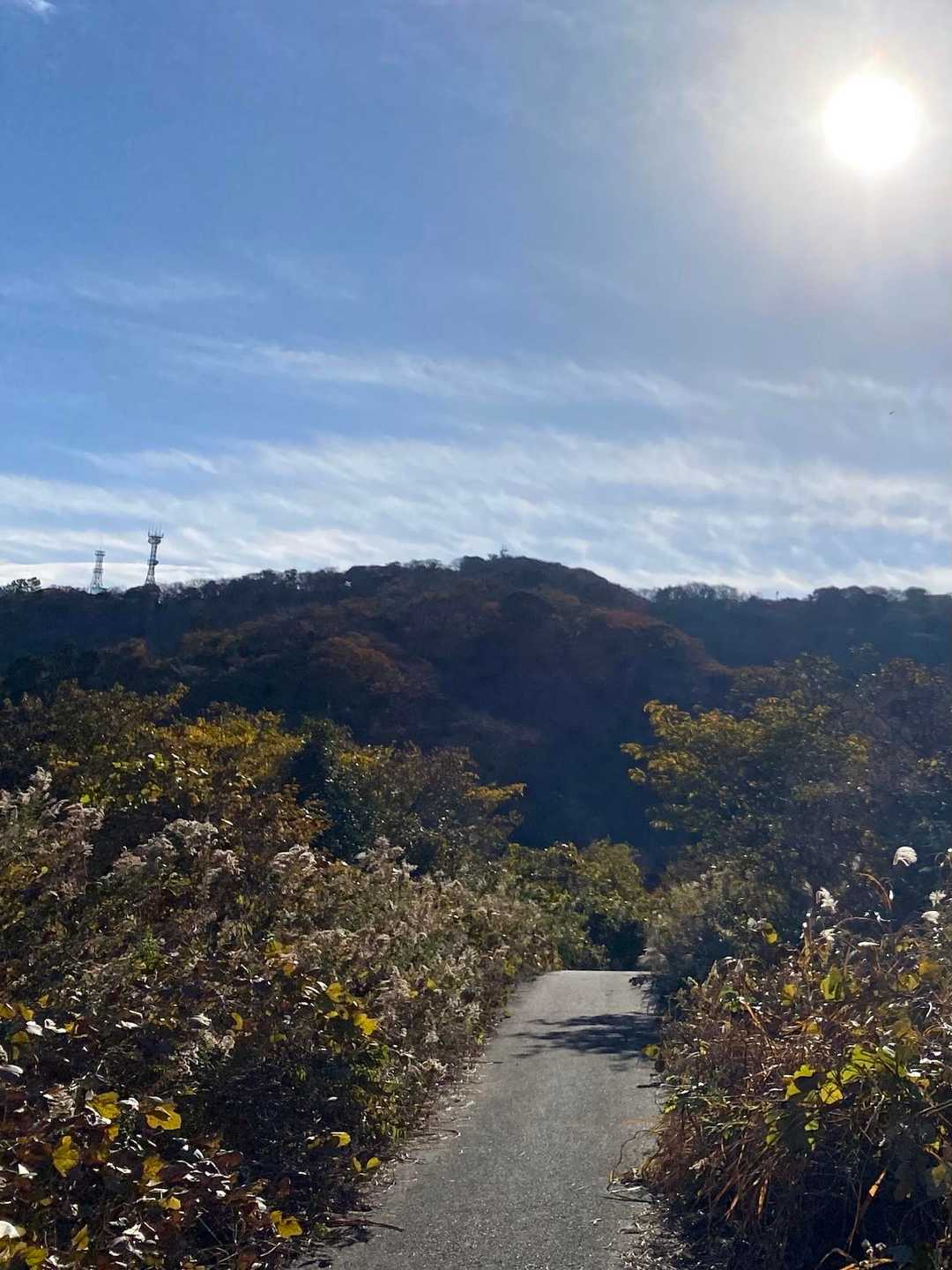しばらく車道を歩きます　目の前にこれから登る大楠山が見えます