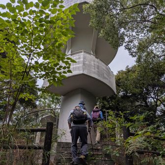 魚見岳62mの展望台です。
登ります🚶🚶