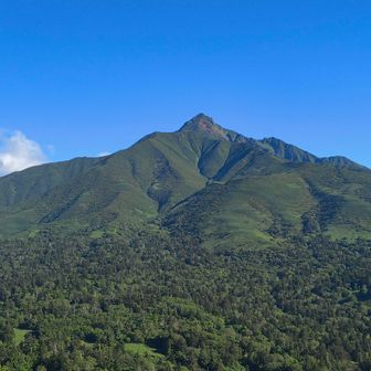 ポン山(大ポン)からの雄大な利尻富士⛰️
圧巻です✨
これだけで今回来た甲斐があったみたいなもんです✨