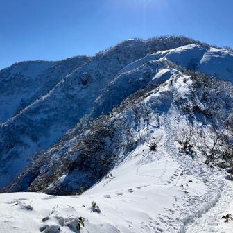 山頂まで行くのが勿体無いような気持ちの良い稜線