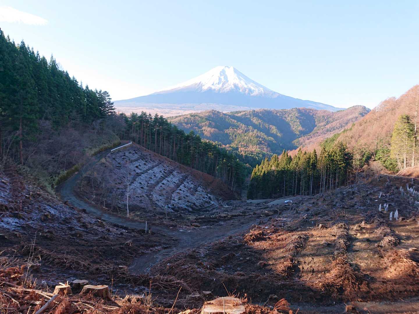 おかげさまで
少し登れば
富士山ドーーン❗