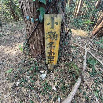 小瀬名富士 山頂標