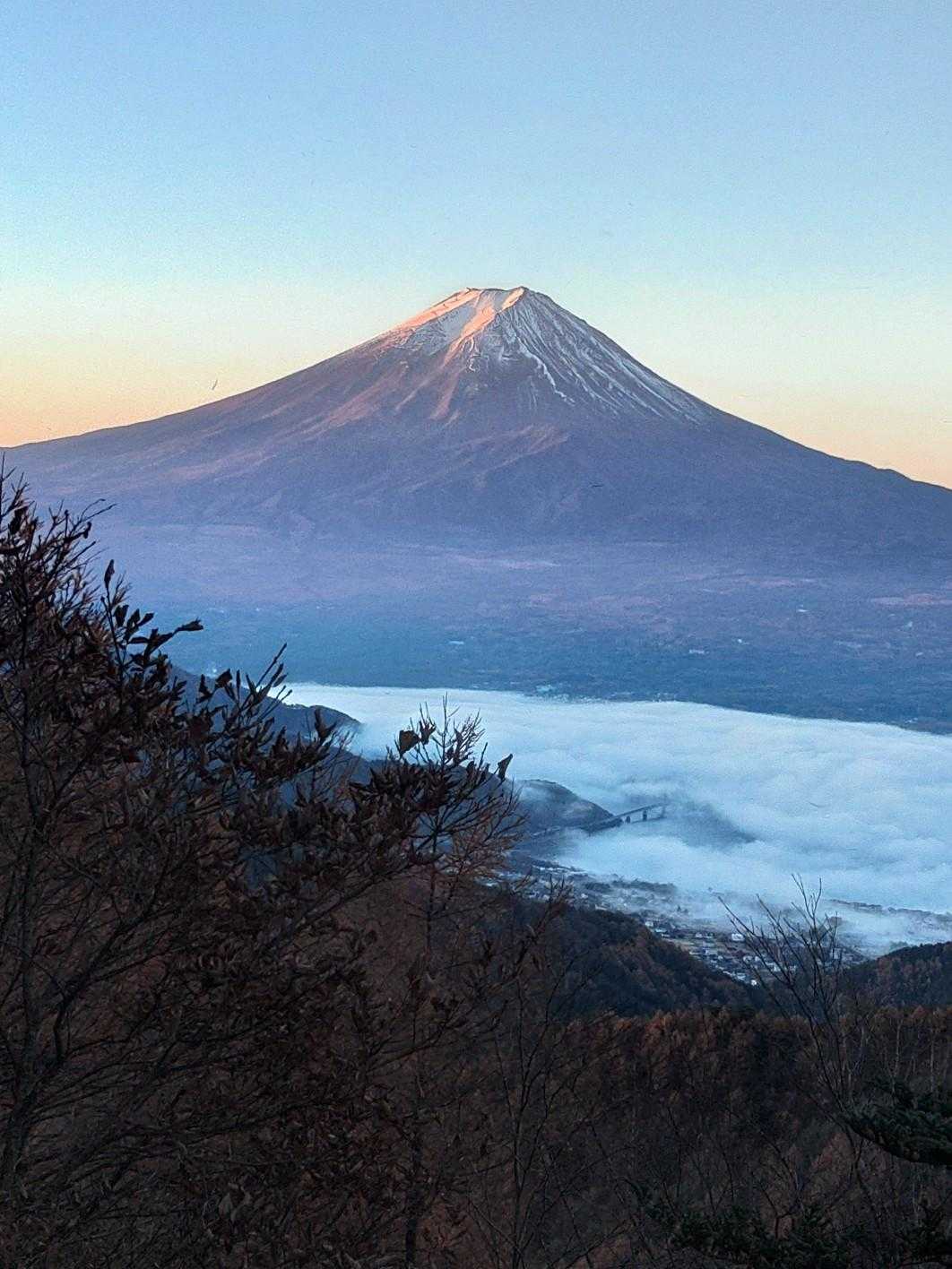 すご😯