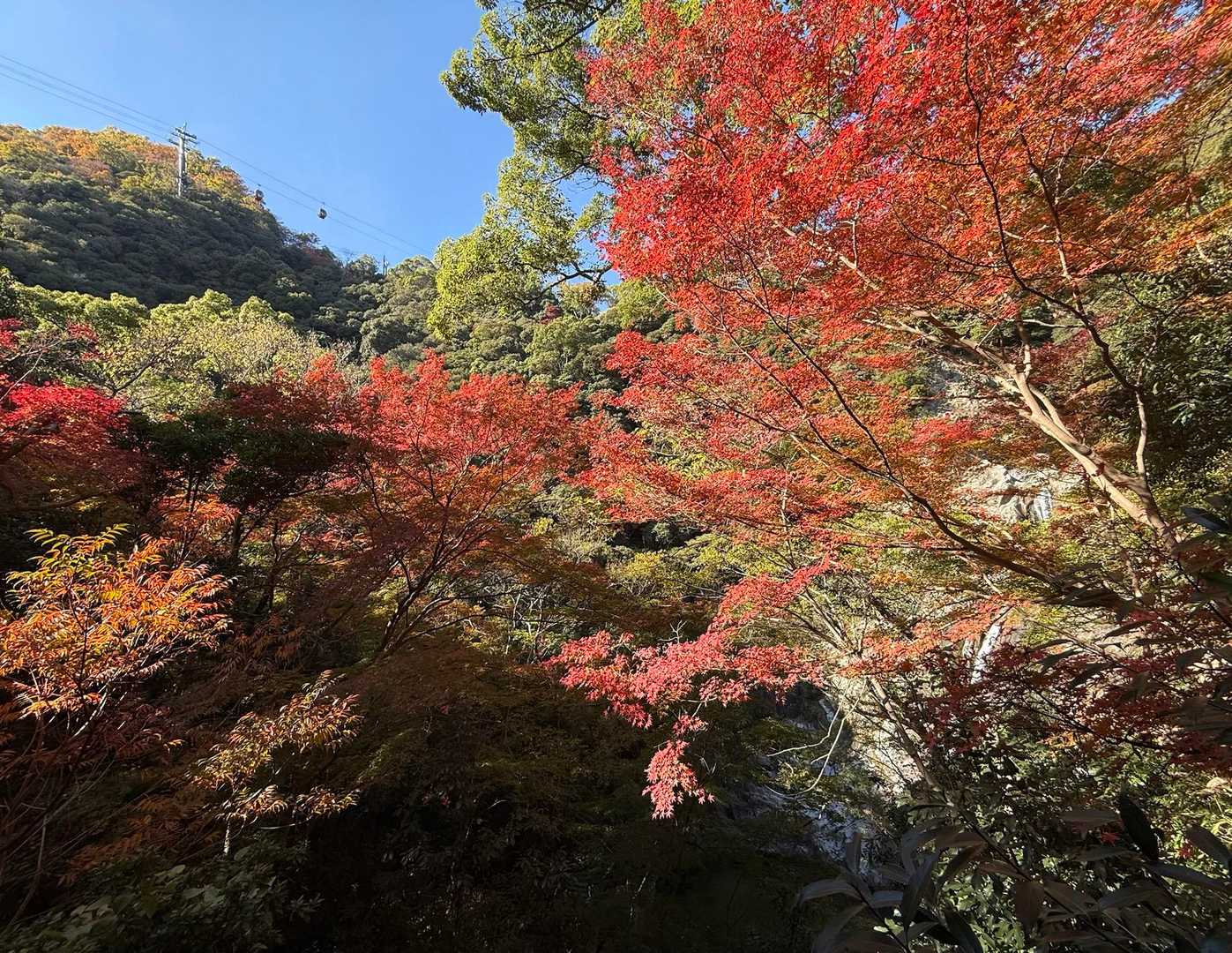 新神戸駅-滝山城跡登山口 縦走コースの写真