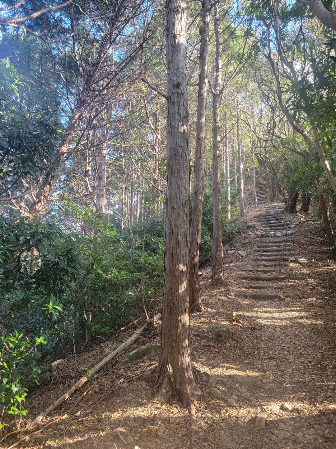 千羽富士-千羽ヶ岳 往復コースの写真