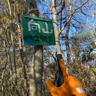 向山も通って〜