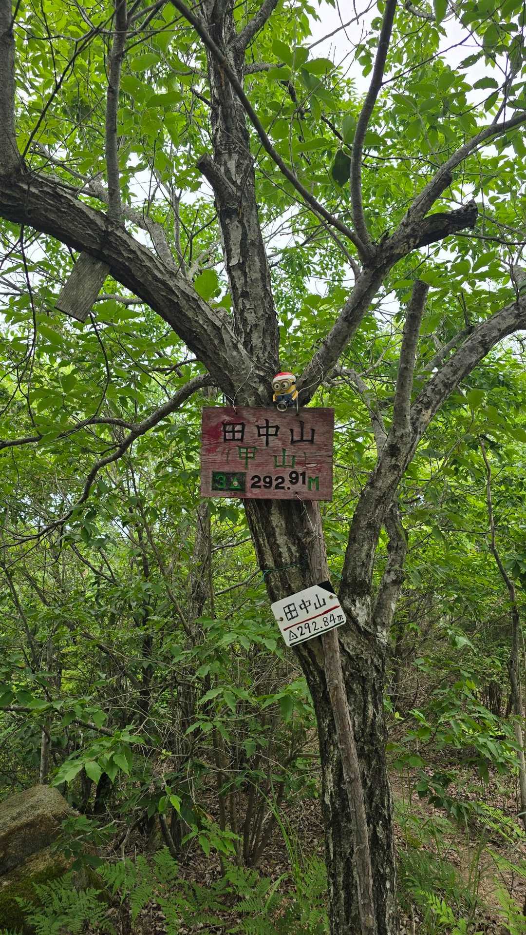 野洲駅-三上山登山道入口-三上山-東光寺日陽山-田中山 周回コースの写真