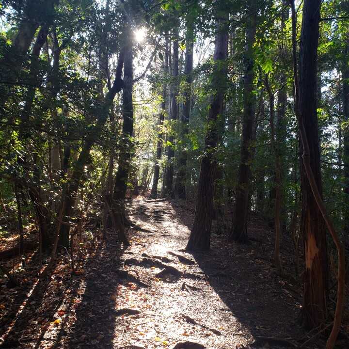 箕面山の写真