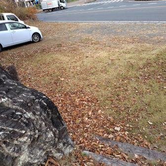 駐車スペース？置いてよいのか分からないけれど‥。すぐ帰ってこれるから良いのかな？