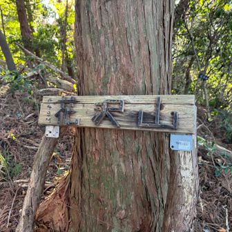 花沢山から周回します。