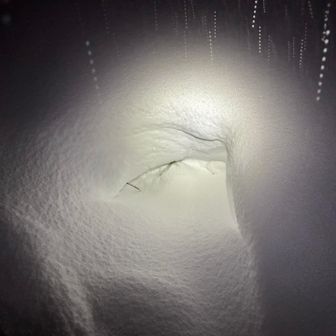 あの手はまさか！？