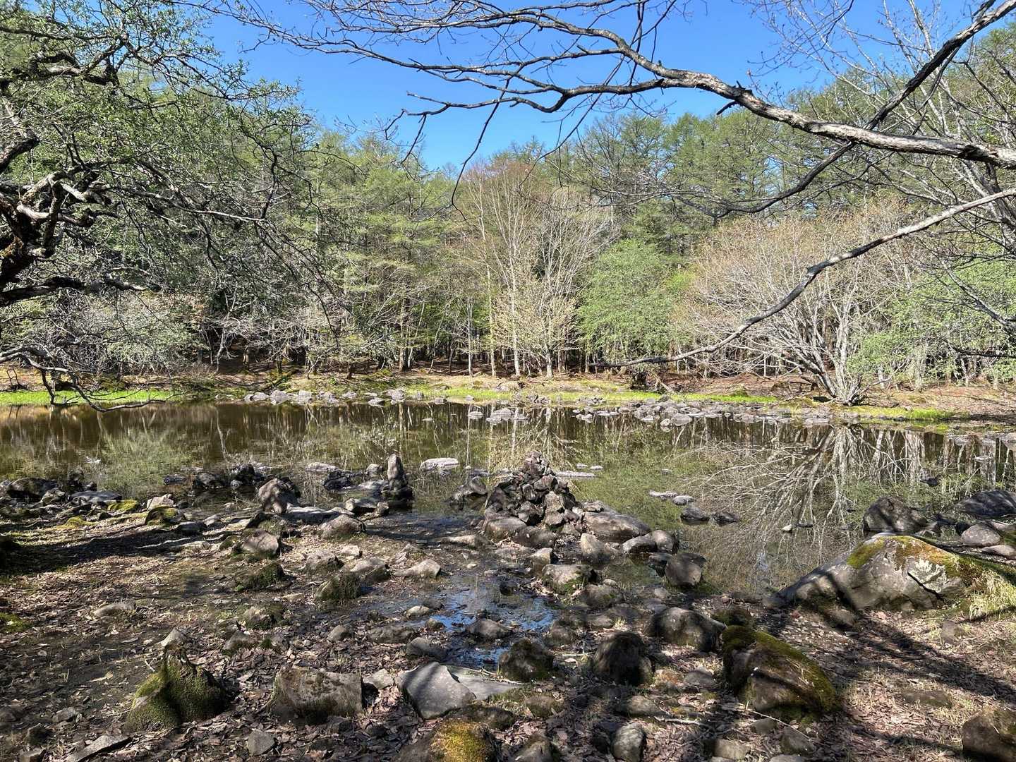 藤原登山口-鶏頂山-釈迦ヶ岳 往復コースの写真