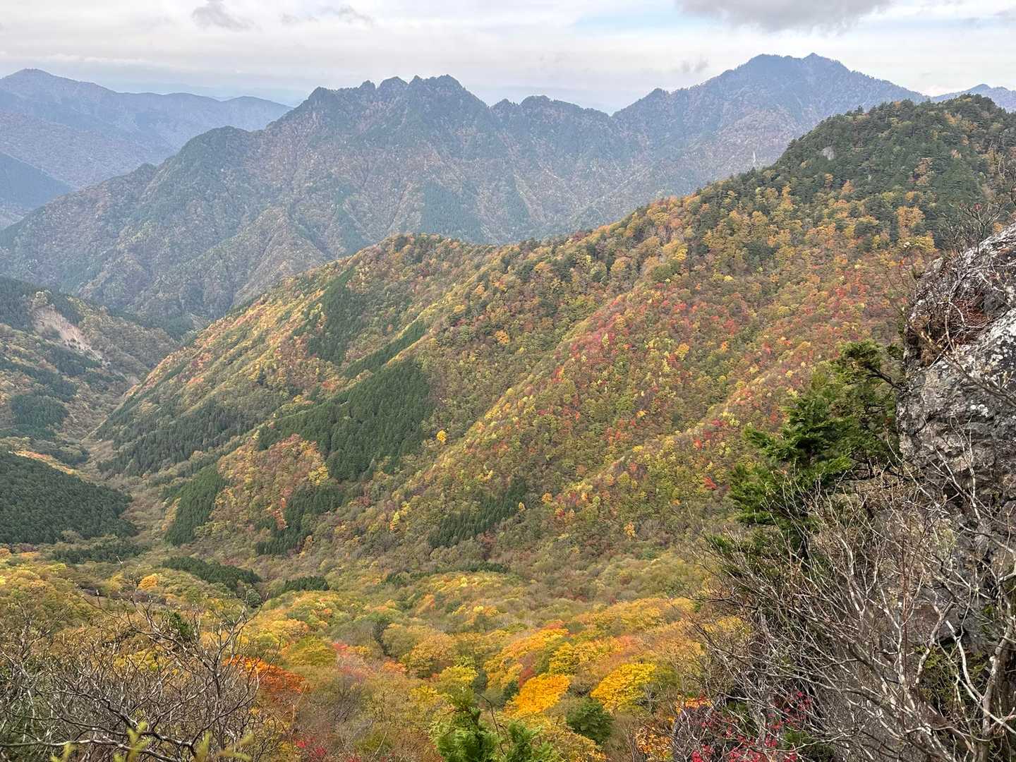 黄色紅葉が綺麗です😊