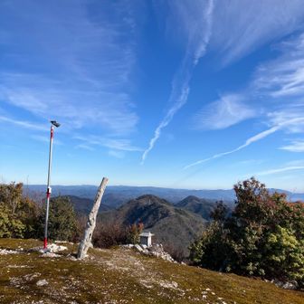 暫く動揺してたけど、同行者があれこれ言ってるのを聞いているうちに冷静になり、山頂に到着🙌