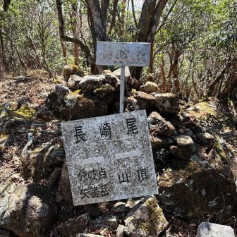 長崎尾まで上がってきました。