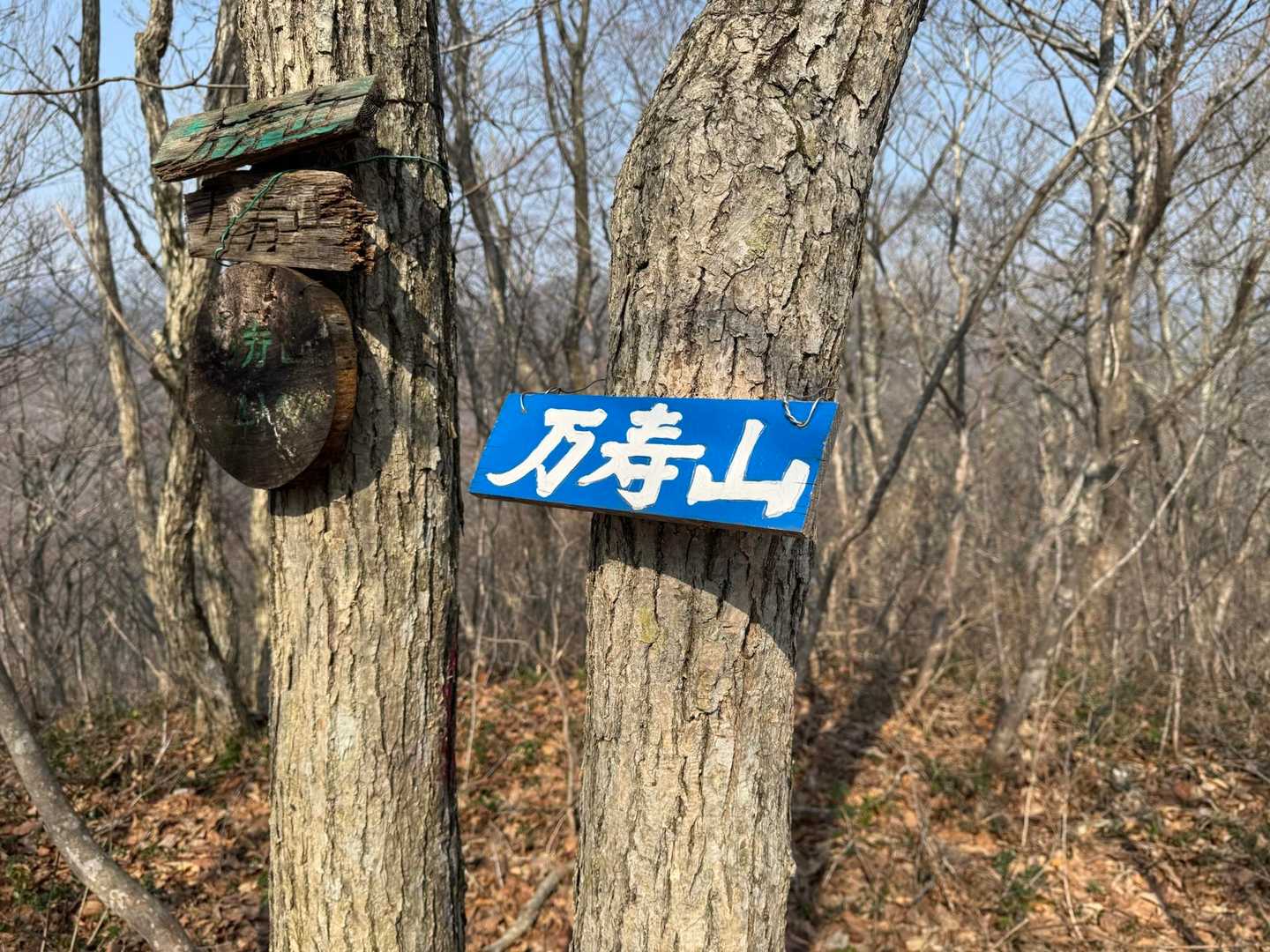 万寿山 往復コースの写真