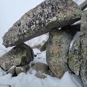 この日はこの先眺望なしで割愛