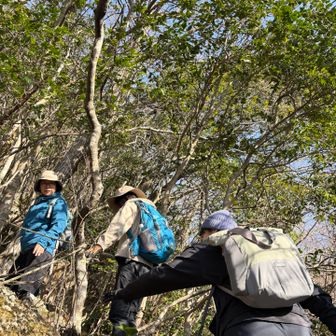 登り返して次は野田場池↩️