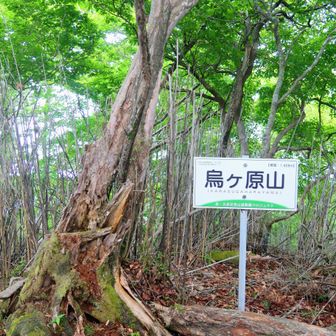 尾根に出てから少しキツかった 滑る急登 上りで転んだのは久しぶり🥲
