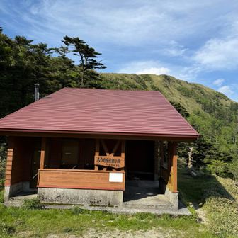 折角だから見学