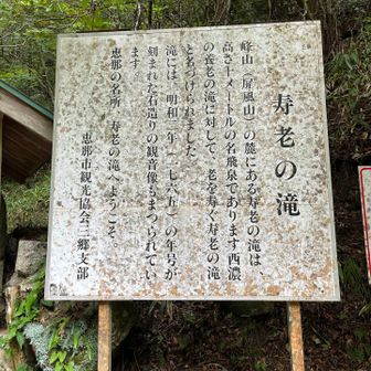 へー🧐