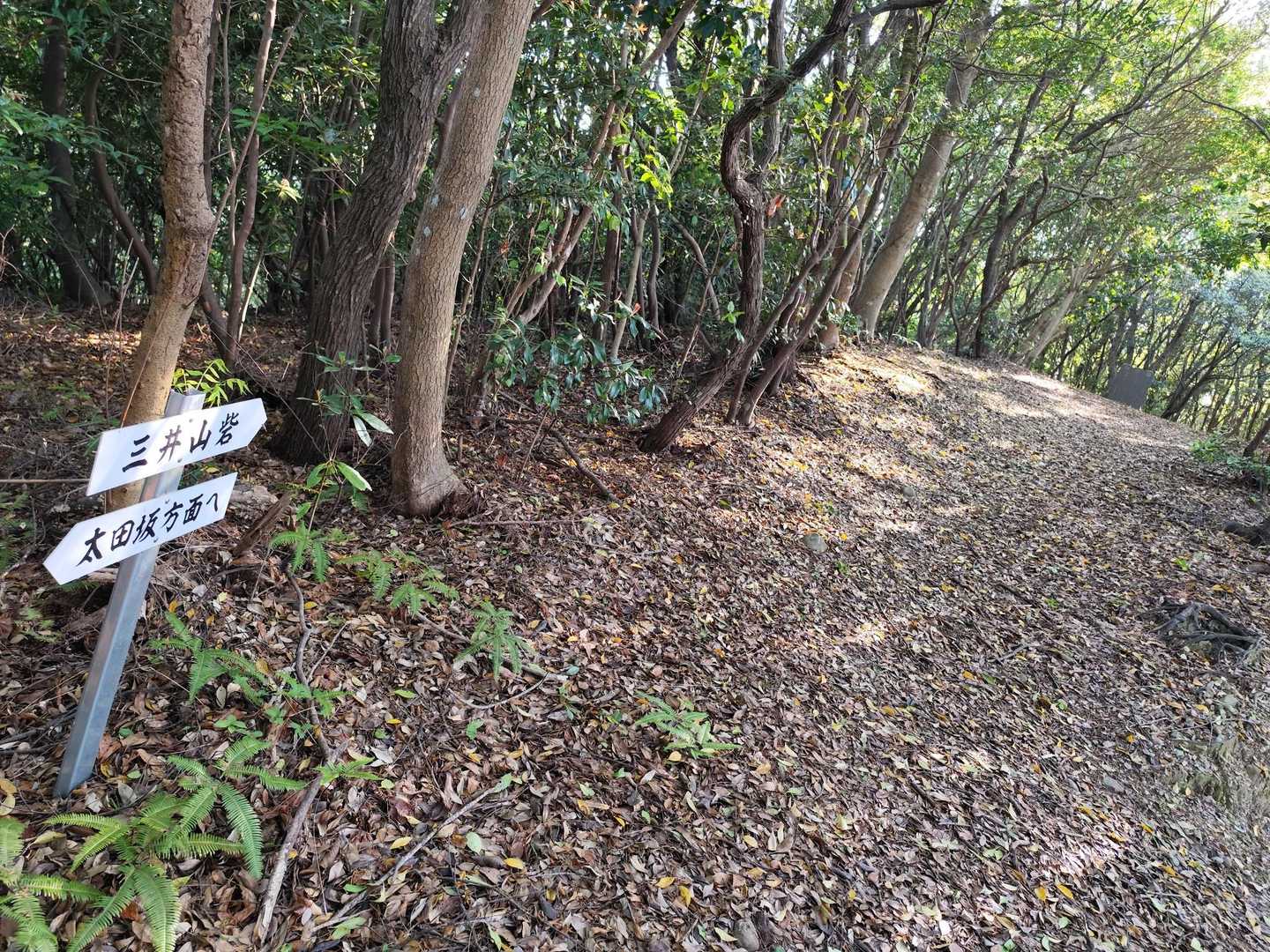 頂上
すぐそこ