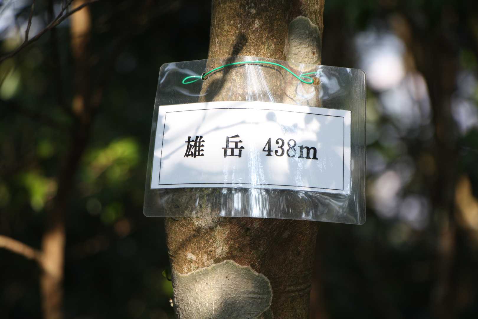 何時もの表示