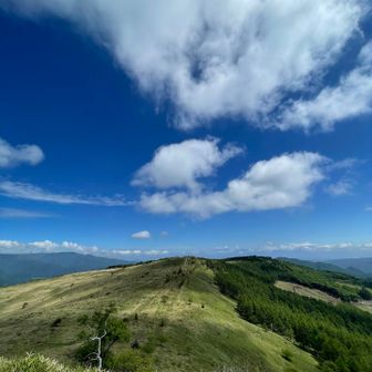 空の広さを感じます☺️