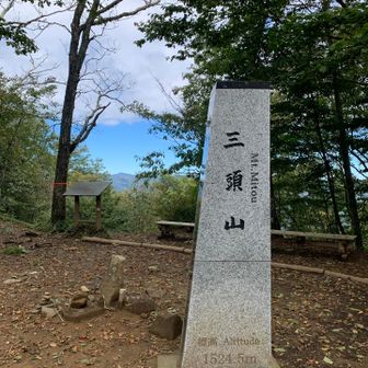 最初のピークは三頭山(みとうさん)⛰️
見晴らしもなかなか👍🏻