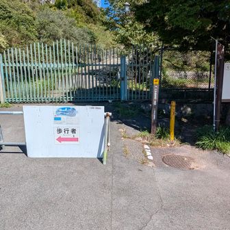 正解は左。矢印が騙しにきてる。