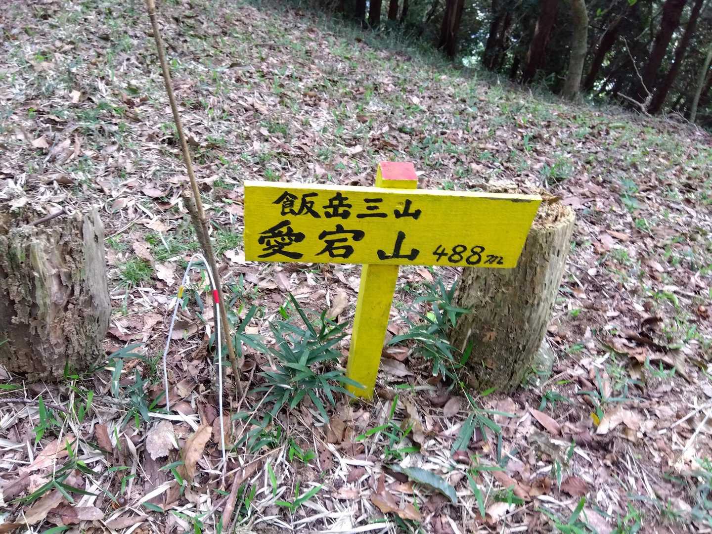 愛宕山⛰️