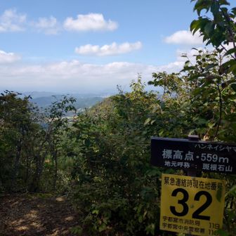 若干面倒だけどせっかくなので５５９ピークを踏みに行った。誰もいないし木陰なのでここでお昼にしようとしたらアブが来ちゃって断念。アブほんと嫌い(会津駒と社山でトラウマ気味)。