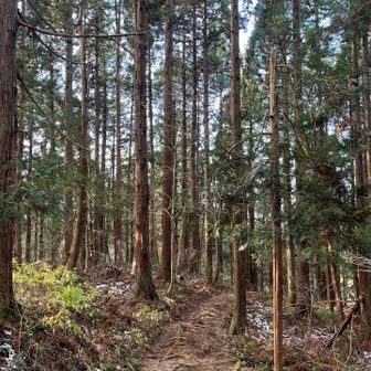 下の方は登山道に雪ありません！