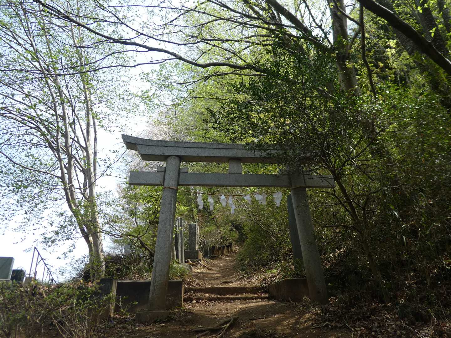 仙元山コースで登ります