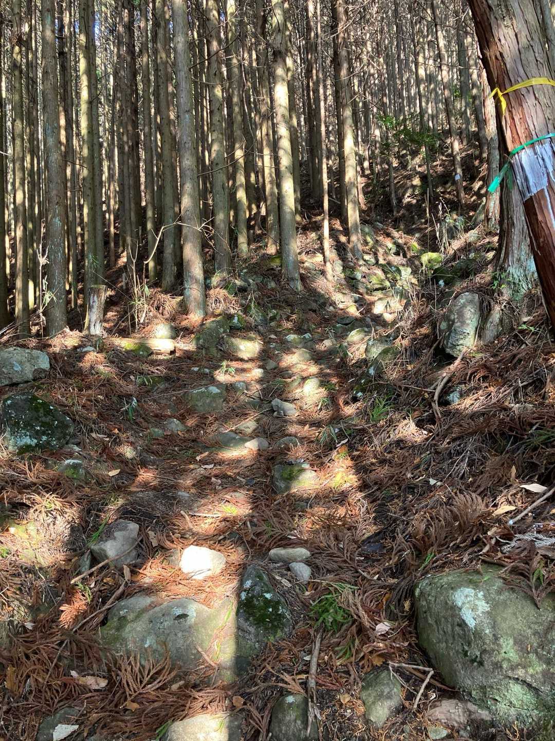 岩ゴロゴロの道が続きます🪨