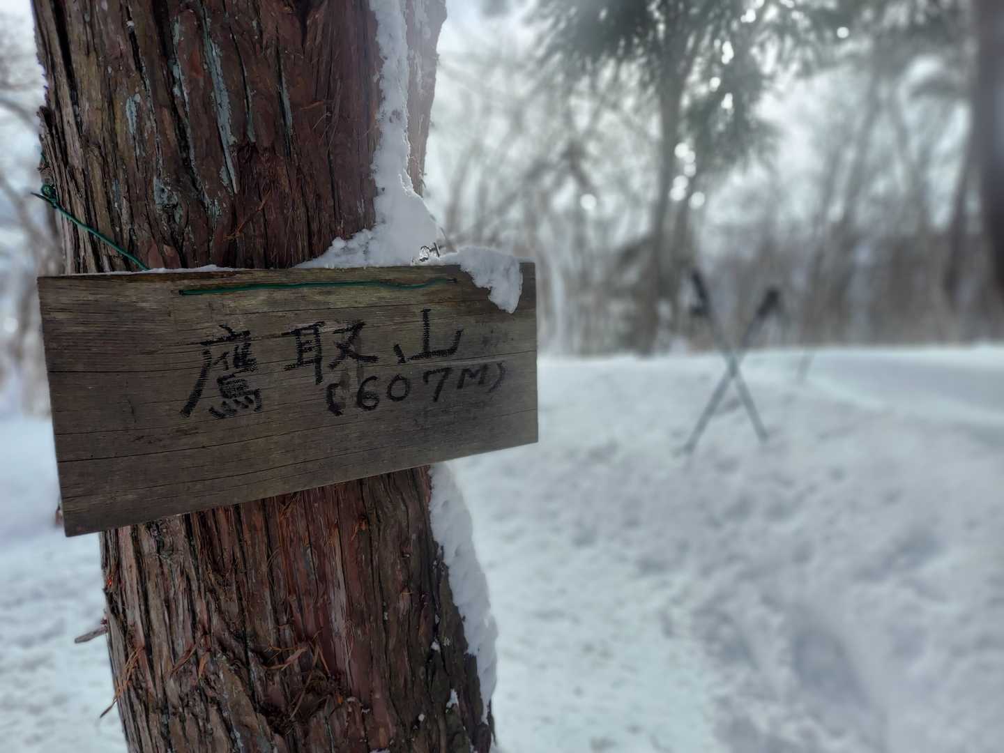 鷹取山登頂🙌やりました。

凄く辛かった⤴️⤴️苦労しました。